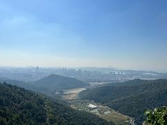 -惠山国家森林公园