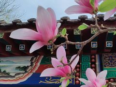 -丰台花园