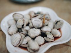 毛蚶-红灯笼龙凤饭店(宁波老字号店)