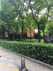 -上海交通大学医学院附属上海儿童医学中心(陆家嘴总院区)