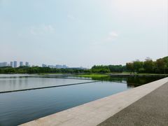 -尚贤河湿地