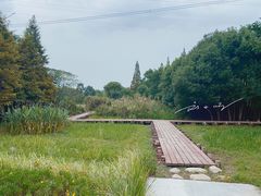 -长田漾湿地公园