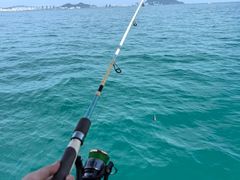 -小猫钓鱼海钓俱乐部(椰梦长廊店)