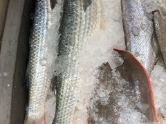 -合家小菜餐馆(新诚花苑店)