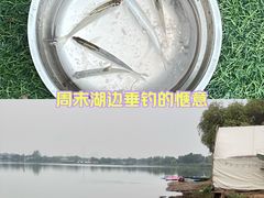-东湖落雁景区