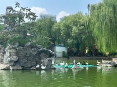 -团结湖公园