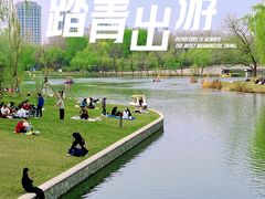 -朝阳公园