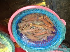 iphone_upload_pic-麦当劳(卫星广场店)