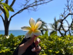 -日落吧·海景咖啡厅·餐酒吧·鸡尾酒·下午茶·乐队表演·浪漫夕阳·三亚文华东方酒店