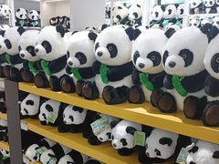 -宁波野生动物园