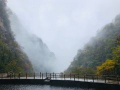 -青峰峡国家森林公园