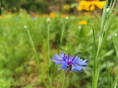-沕沕水生态风景区