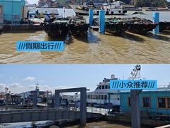-沈家门渔港
