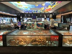 水产区-尚海豆捞(乐虹坊店)