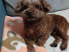 -美联众合动物医院·24h京西诊疗中心