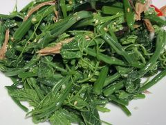 炝拌丝瓜尖-北平盛世·新京菜·北京烤鸭(劲松·双井店)