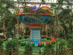 -南宫五洲植物乐园