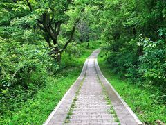 -青龙山国家森林公园