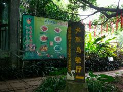 -火烈鸟餐厅