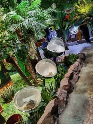 -酷嗒动物文化乐园(cutezoo西溪乐天城店)