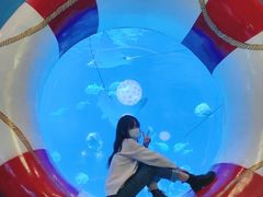 -烟台海昌鲸鲨海洋公园