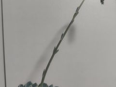 -淮扬府(安定门店)