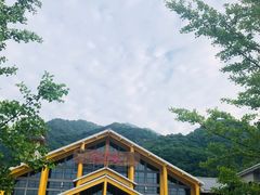 -陕西省红河谷森林公园