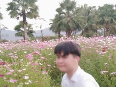 -亚龙湾国际玫瑰谷