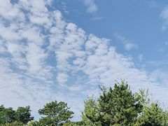 -香山公园
