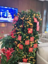 -北京米扬丽格医疗美容·联合丽格鼻整形中心