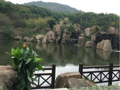 -白马涧龙池景区