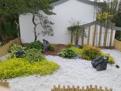 -东平国家森林公园
