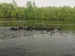 -长白岛森林公园