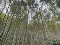 -祁门牯牛降观音堂风景区