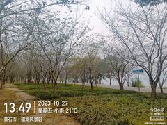 -团城山公园