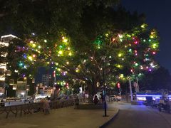 -宝安西湾红树林湿地公园