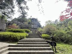 -梭布垭石林景区