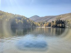 -如意香辣鸡架(总店)