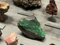 -墨尔本博物馆(Melbourne Museum)