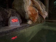 -和顺柏联温泉