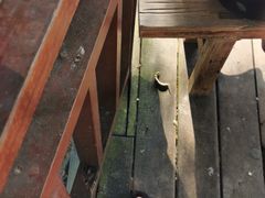 -蜈支洲岛珊瑚酒店临海阁中餐厅