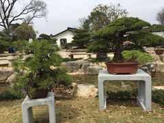 -上海植物园-4号门售票处