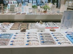-标准眼镜·蔡司官方授权店(塘沽远洋未来汇店)