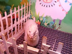 -正佳雨林生态植物园