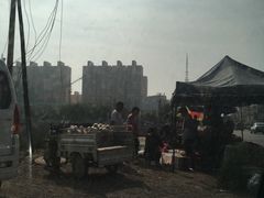 -竹林寺旅游风景区