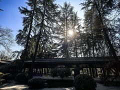 -大慈恩寺(大雁塔)