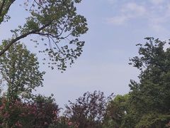 -昆山城市生态森林公园