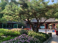 -宣武艺园