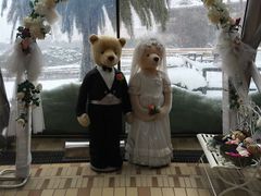 -济州岛泰迪熊博物馆