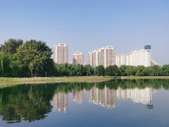 -莲花池公园